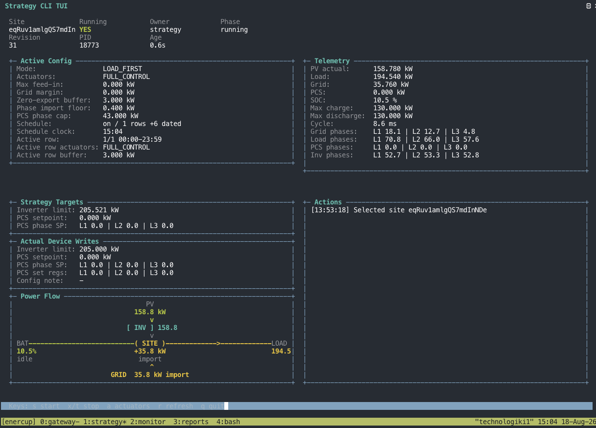 Strategy engine terminal UI on the Mini PC: active config, telemetry, targets, device writes and power flow